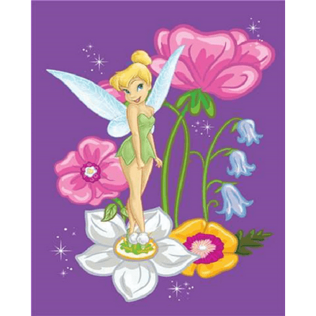 - Disney FAIRIES TINKER BELL Royal Plush Raschel Throw Blanket, Twin Size 60