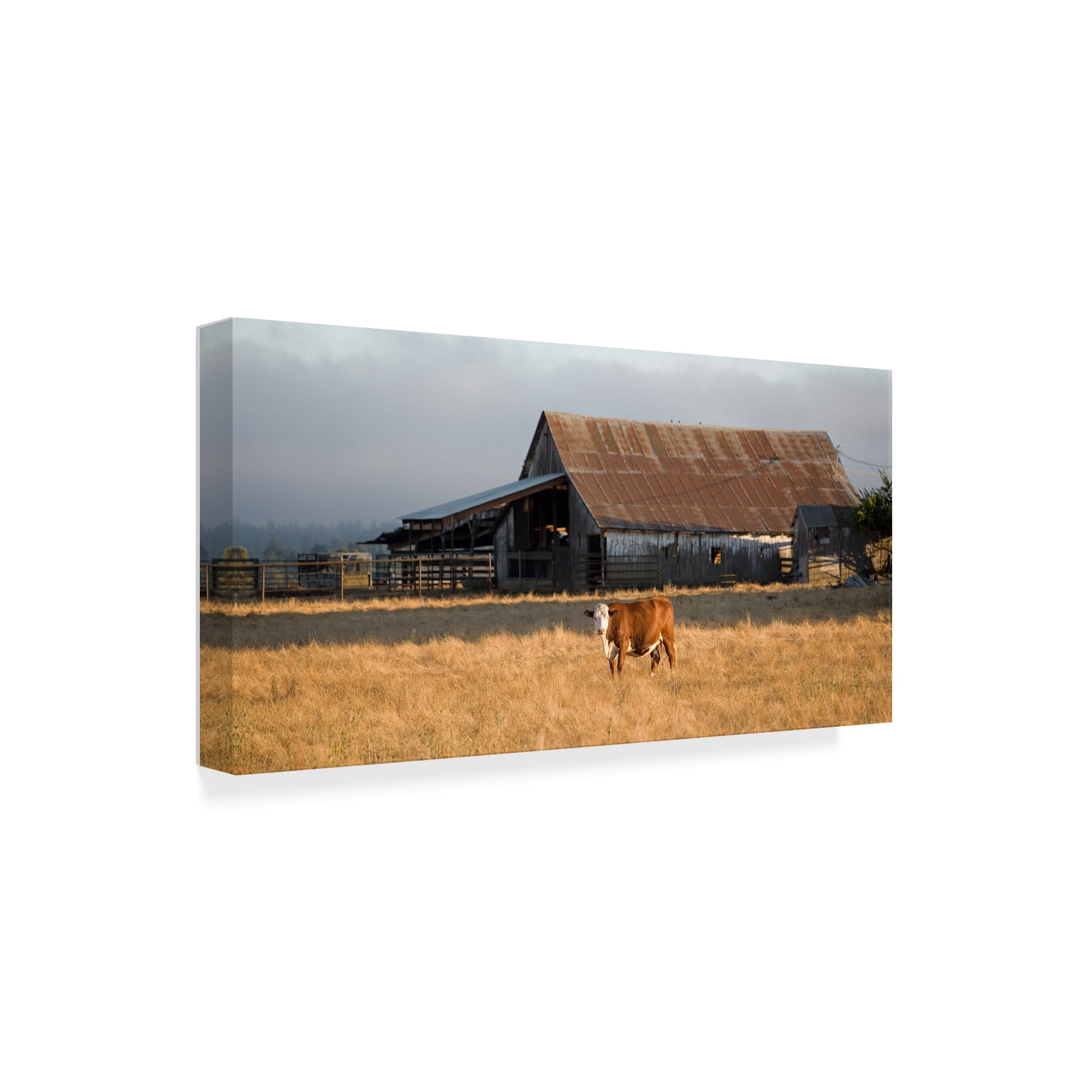 Trademark Fine Art 'Cow Portrait' Canvas Art by Lance Kuehne