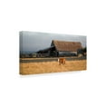 thumbnail image 2 of Trademark Fine Art 'Cow Portrait' Canvas Art by Lance Kuehne, 2 of 3