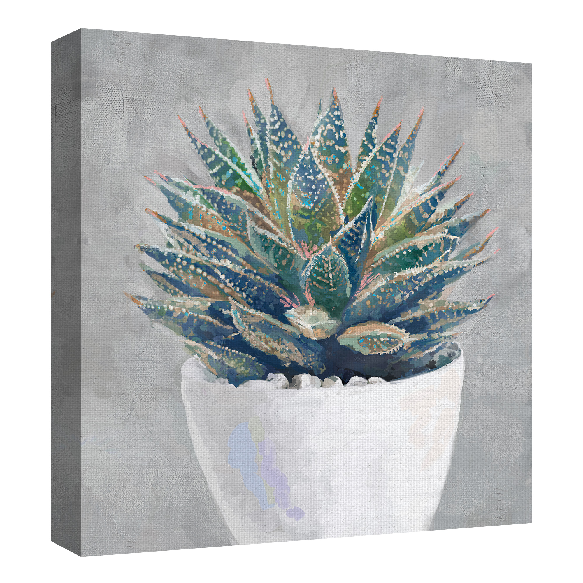Masterpiece Art Gallery Potted Succulent I By Studio Arts Canvas Art Print 24" x 24"