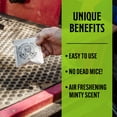 thumbnail image 3 of Grandpa Gus’s Extra-Strength Mouse Repellent Pouches, Peppermint & Cinnamon Oil, Natural Rodent Deterrent Control for Garage, RV, Car, Basement, Attic, Storage, 1.75 Oz (Pack of 3), 3 of 3