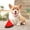 A, variant on SIfdSeng Freezable Pet Teether Cooling Chew Toy Fruit Lemon Pineapple Watermelon Design Durable Dog Cooling Chew Toys for Dogs Teething Toy for Puppies Dog Toys Teething Toys for Puppies Large Breed