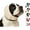 Beige, variant on Dog Ear Muffs Noise Protection with Noise Cancelling Pads, Adjustable Calming Fit for Fireworks, Thunder, Grooming & Bathing