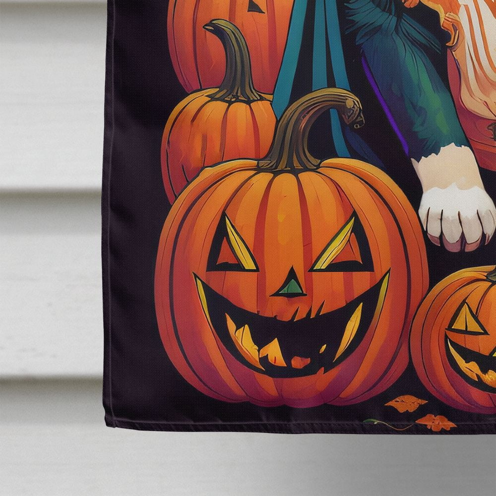 Halloween Saint Bernard Dog House Flag 28x40IN Double-Sided Polyester Decorative Sleeve Pole Flag for Outdoor Home Garden