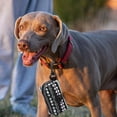 thumbnail image 1 of CTIRCHIU Support de Sac à Déchets pour Chien Léger Conteneur Portable pour Marche Course Randonnée Animaux, 1 of 6