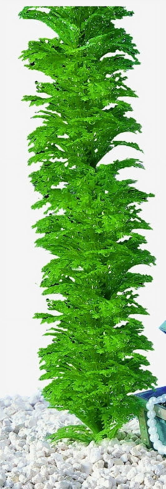 (3 pack) Penn-Plax Decorative Green Plastic Plants Surround Airline Tubing for Aquarium 60"Length - 1 Count