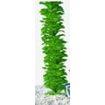 thumbnail image 4 of Penn-Plax Decorative Green Plastic Plants Surround Airline Tubing for Aquarium 60"Length - 1 Count, 4 of 8