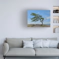 thumbnail image 2 of Canvas Wall Art - Kenneth M Kirsch 'Summer Wind 2018' Wall Art for Living Room, Bedroom, or Office Décor by Trademark Fine Art - 47 x 35 Inches, 2 of 4