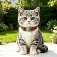 thumbnail image 6 of DGMIOCS Elastic Cat Collar of Safety Quick Release Cat Collars with Bell Anti-Suffocation Kitten Puppy Collars, 6 of 7