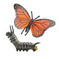 thumbnail image 1 of Modelos de en Miniatura, Juguete Conoscitivo, Decoración para hogar para , 6,5x5cm + 10x2cm Hugo Modelos de simulación de insectos, 1 of 10