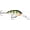 Multi, variant on Rapala Shad Dancer 5 Crankbaits