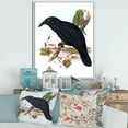 thumbnail image 2 of Designart 'Ancient Australian Birds VI' Traditional Framed Canvas Wall Art Print, 2 of 5