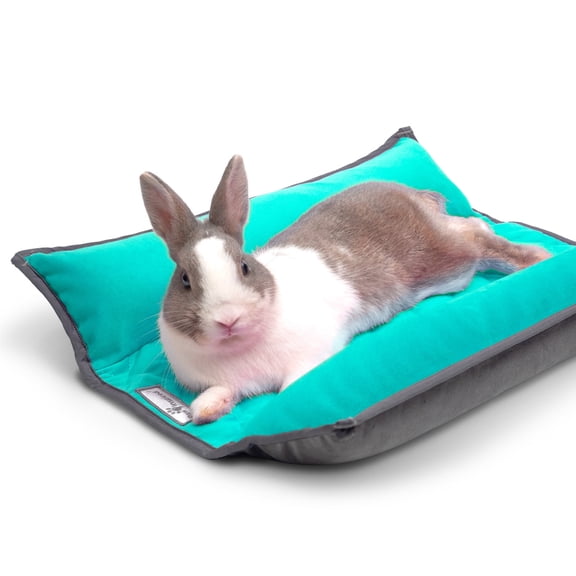 Paw Inspired 17x17" Snuggle Bunny Bed for Rabbits, Cat and Other Small Pets and Animals | Reversible Fleece Bedding with Padded Sides (Gray/Green)