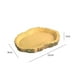 thumbnail image 2 of Bebedero para terrario, accesorios para tortugas, recipiente de agua y comida para reptiles, bebedero para serpientes y tortugas, accesorios para reptiles, 2 of 4