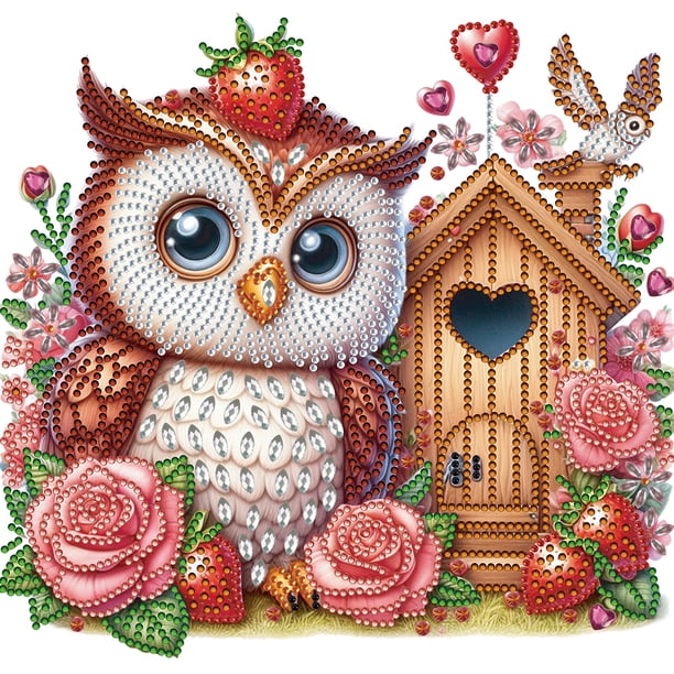 Pintura de diamante 5D DIY Kit de taladro parcial con forma especial Casa de búho rosa 30x30cm