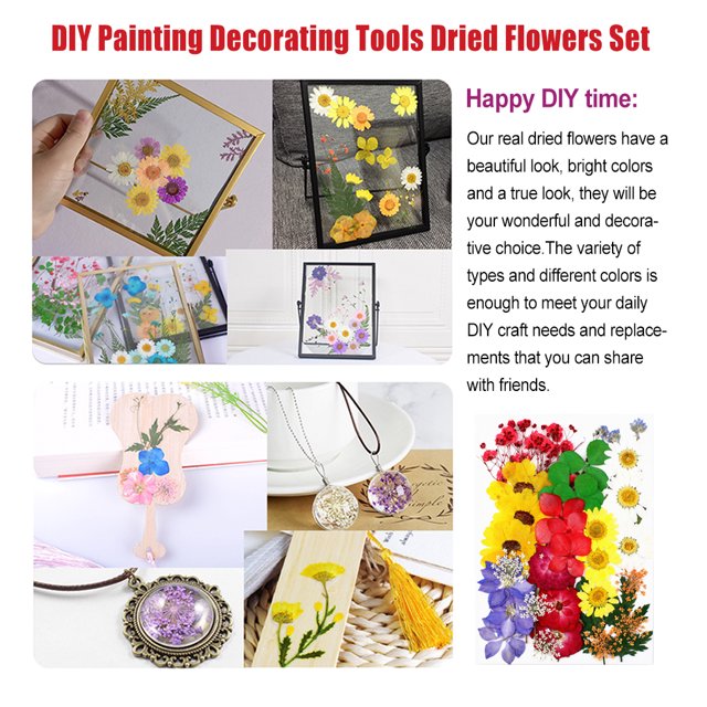 Ruiboury Dried Flowers Set Scrapbooking Decorating Real Flower Decal Handicraft Filling Pressed Specimen Label for Makeup Phone Use Type 10
