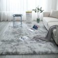 thumbnail image 1 of AMERTEER Long Plush Area Rug Soft Fake Fur Washable Non-Slip Decorative Floor Mat Super Soft Fluffy Floor Rug Shag Rug Shaggy, 1 of 8