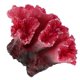 thumbnail image 5 of Decoración de acuario de coral falso, simulación de plantas subacuáticas, decoración de pecera, adorno paisajístico, 5 of 7