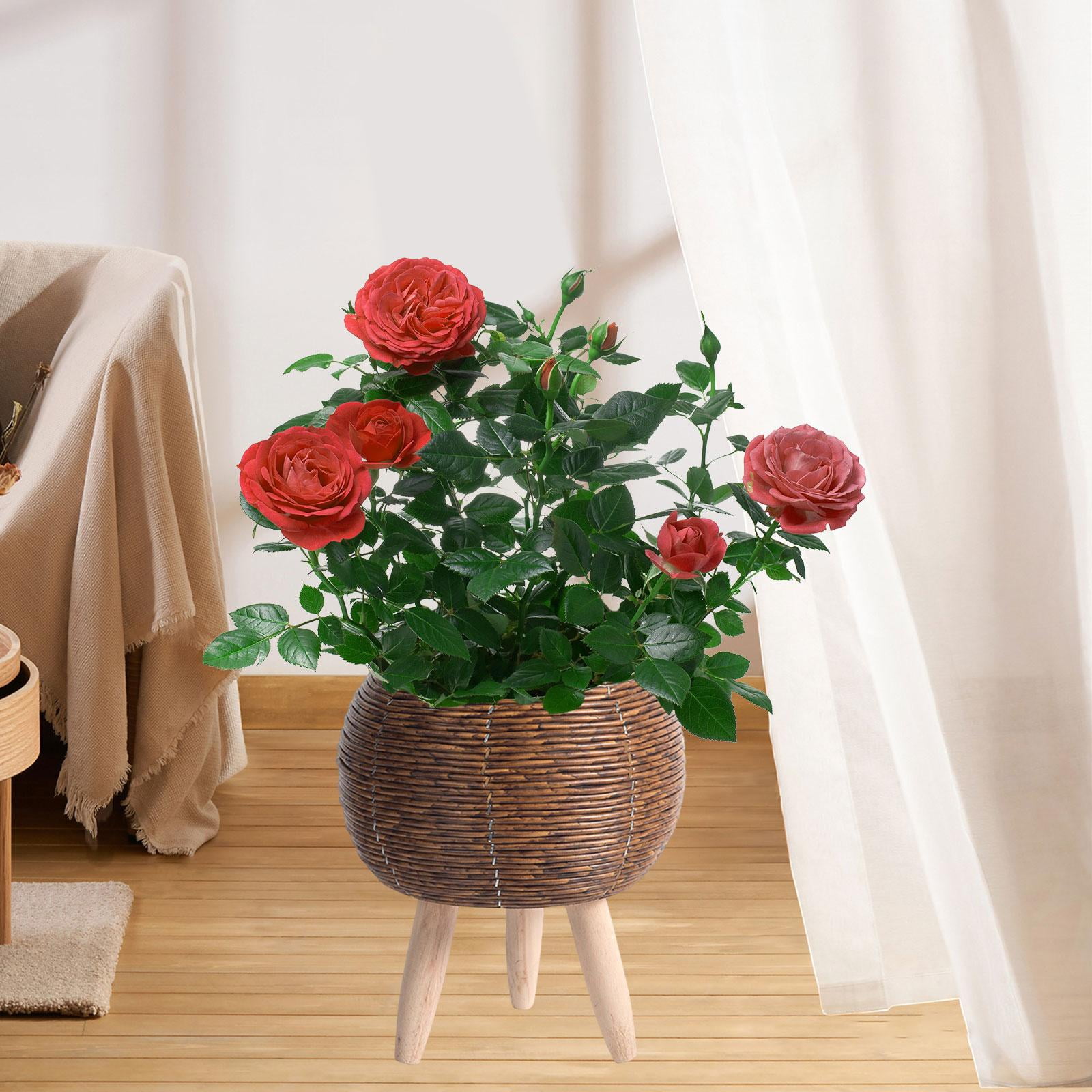 Woven Basket for Plant with Legs Basket Planter Flowerpot Rustic Rattan Basket Flower Pot for Balcony Apartment Drawing Room Decorations Ball Dark Brown