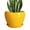 Bright Yellow, variant on Ceramic Modern Glaze Succulent Planter Pot with Drainage Hole and Saucer 6 Inch Round Flower Plant Pot for Indoor Outdoor Herb Snake Plants