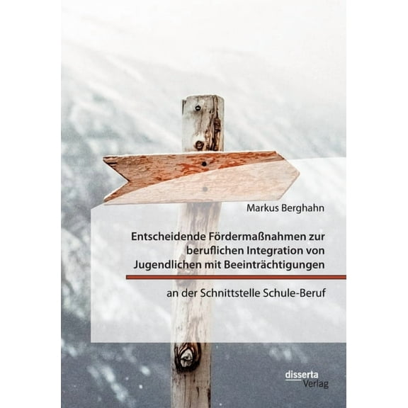 Entscheidende FÃ¶rdermaÃnahmen zur beruflichen Integration von Jugendlichen mit BeeintrÃ¤chtigungen an der Schnittstelle S, (Paperback)