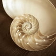 thumbnail image 3 of Semenza, Marlana 20x20 Black Modern Framed Museum Art Print Titled - Natural Nautilus, 3 of 5