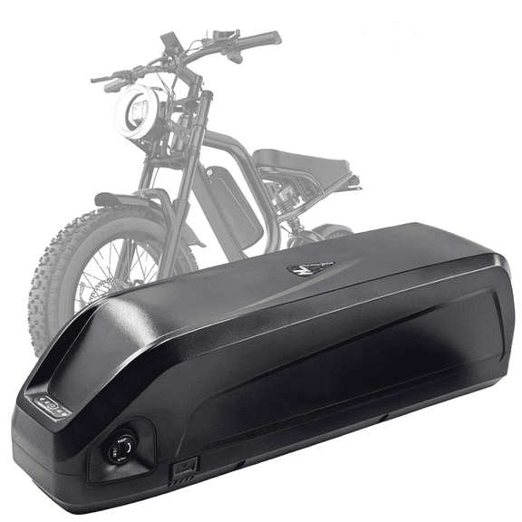 48V 16Ah Lithium Battery for 100-1000W Motor Long-Range Commuting