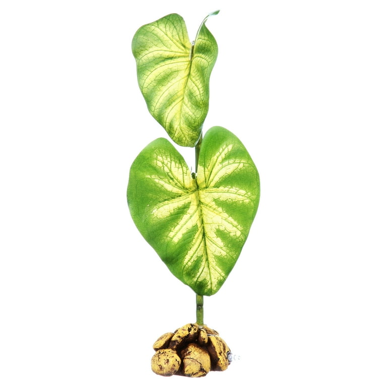 Exo Terra Dripper Plant Terrarium Humidifier Small