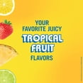 thumbnail image 3 of ViBE Twisted Sips Fruit Punch, 500mL Box, 12% ABV, 3 of 6