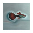 thumbnail image 3 of "Guppy in Minimalism" - Canvas, 3 of 25