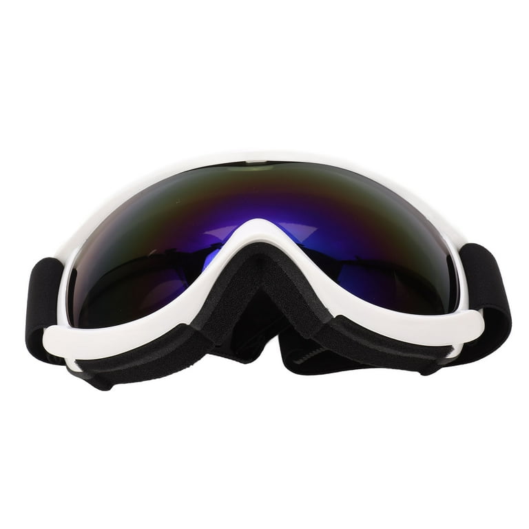 Adult Ski Goggles Spherical Double Layer Anti Fog Snowboard