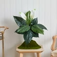 thumbnail image 2 of Nearly Natural 24in. Spathiphyllum Artificial Plant (Set of 3), Green, 2 of 4