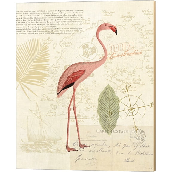 Floridian I by Katie Pertiet, Canvas Wall Art, 16W x 20H