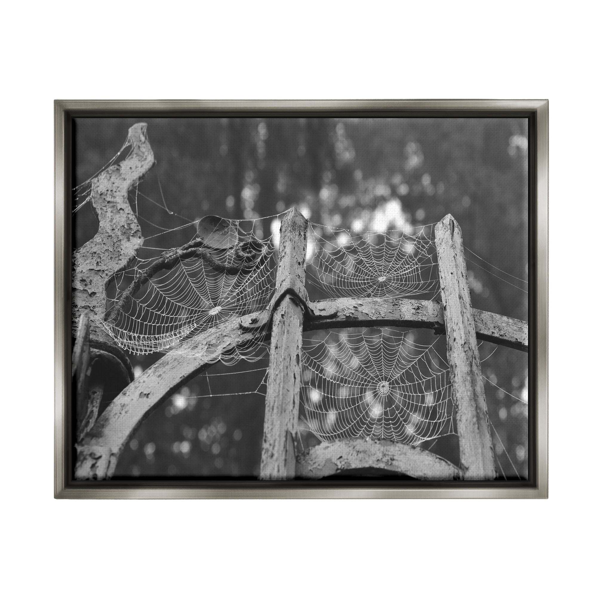 Stupell Industries Spooky Spider Webs Rustic Monochrome Gate Graphic Art Luster Gray Floating Framed Canvas Print Wall Art, Design by Daphne Polselli