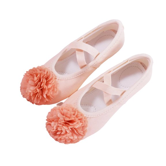Abomasnow Girls Flower Crisscross Elastic Strap Split Sole Ballet Dance Shoes Casual Breathable Shoes