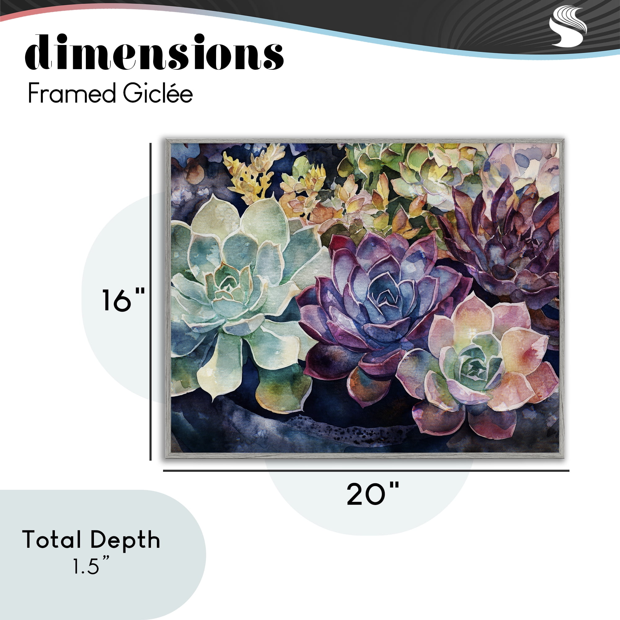 Stupell Industries Tutti Succulents Collection Gray Framed Giclee Art, design by Svetlana Aleynikova