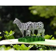 CUTPOPUP Birthday Card Pop Up, 3D Greeting Card (Zebra)