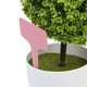 thumbnail image 4 of KAKOWELY 100 etiquetas de plástico tipo T para plantas, 10 x 6 cm, para viveros y jardines (rosa), 4 of 4