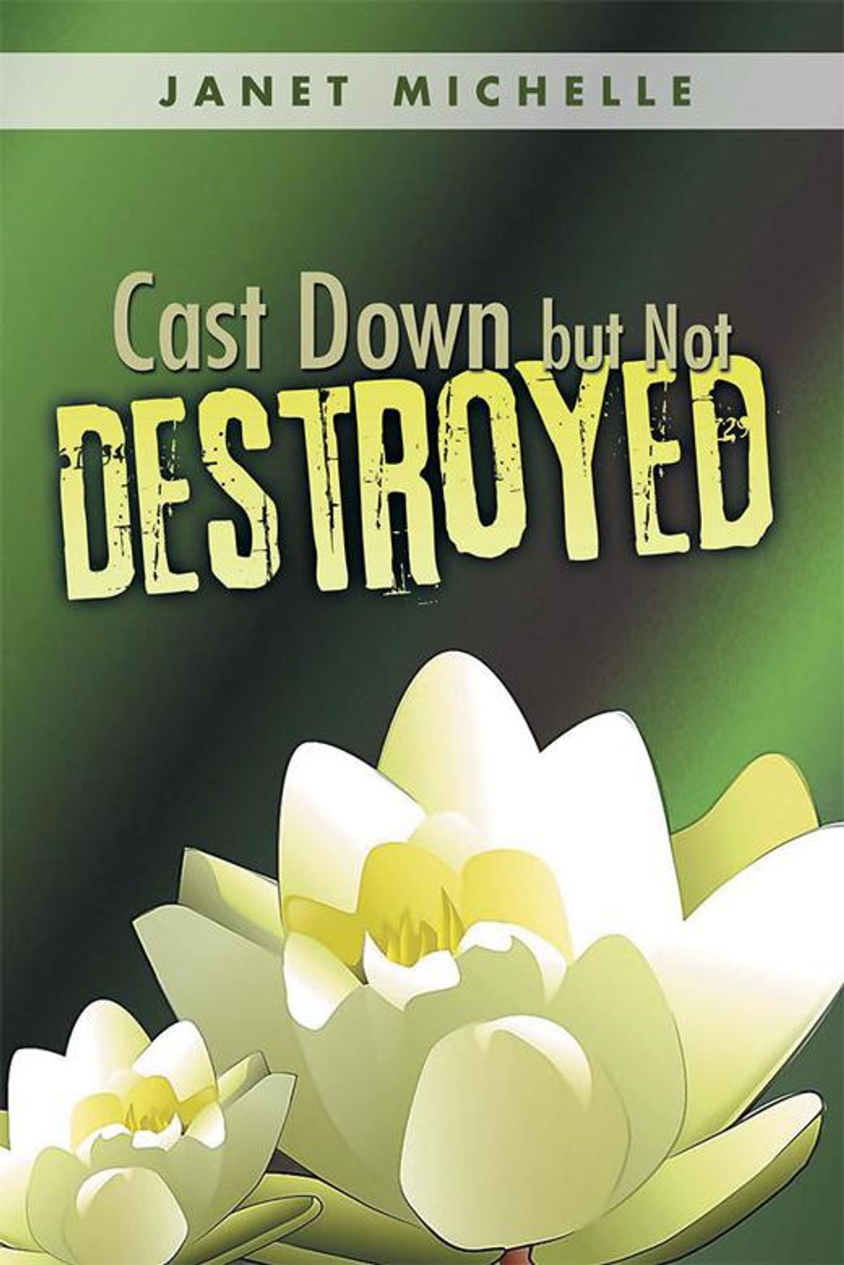 Cast Down but Not Destroyed eBook