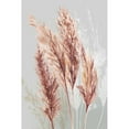 thumbnail image 3 of Jensen, Asia 13x18 Black Modern Framed Museum Art Print Titled - Blushing Pomp Grass II, 3 of 5