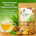 thumbnail image 5 of Cardo mariano, curcuma, diente de leon, boldo & cuachalalate TE (Milk thistle, turmeric, dandelion, boldo & cuachalalate) 24 Tea Bags, 100% natural herbal infusion, vegan, HerbeLiver support, 5 of 10