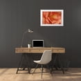 thumbnail image 3 of Crane, Rita 14x11 White Modern Wood Framed Museum Art Print Titled - Festive Begonia V, 3 of 4