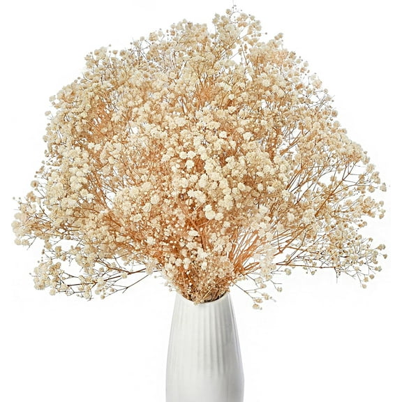 Dried Baby's Breath Flowers Ivory White, 17inch Dried Natural Flowers Babys Breath Bulk with 3000 Buds, Real Dry Gypsophila for Wedding, Party, Wreath Floral DIY, Home Decor