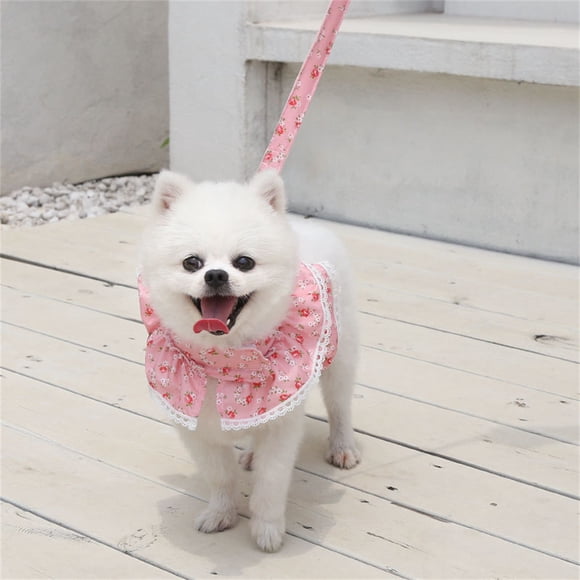 Floral Printed Pet Clothes Leash Set Training Working Running Running Comfy Lace Neck Vest Harness Wild Halter Clothing Party M