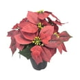 thumbnail image 2 of Planta de Pascua artificial navideña Plantas artificiales en maceta Regalo de Navidad 9 cabezas, 2 of 9