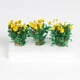 thumbnail image 5 of Miniatura de flores, 3 piezas, modelo estático, racimo de flores para dioramas, diseño de tren Flor de Luna, 5 of 8