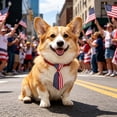 thumbnail image 5 of Yhmxh 4th of July Pet Necktie, Adjustable American Flag Collar Bows Patriotic Red White Blue Star Stripes Dog Cat Bow Tie Collar, Cute Independence Day Pet Costume Accessory for Small Medium Pets, 5 of 6