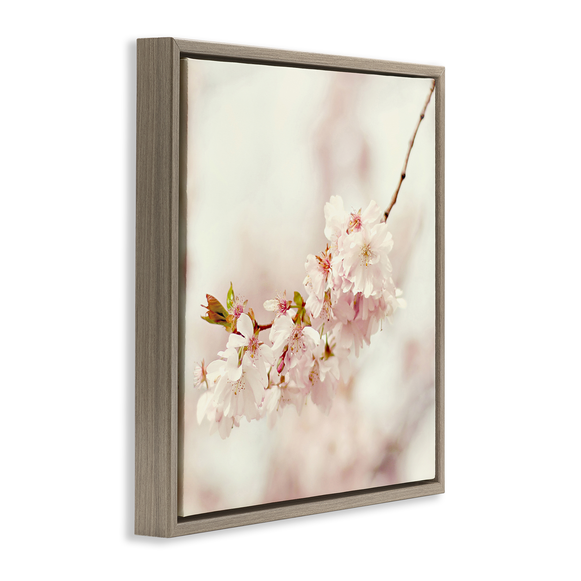 Stupell Industries Delicate Cherry Blossom Plants & Flowers Photography Brown Floater Framed Canvas Art Print Wall Art, 25 x 25