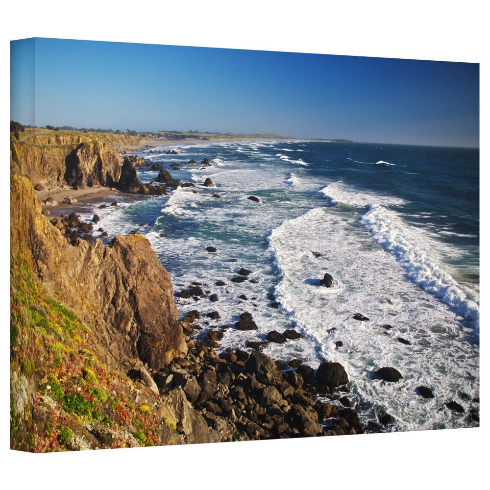 ArtWall Dan Wilson "Sonoma Coast" Gallery-Wrapped Canvas