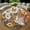 Cat12, variant on Round Area Rug, Gingerbread Man Art Design Non-Slip Floor Mat, Soft Washable Carpet for Living Room Bedroom Decor 24 Inch